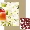 ادوپرفیوم زنانه میس جوردانی اوریفلیم