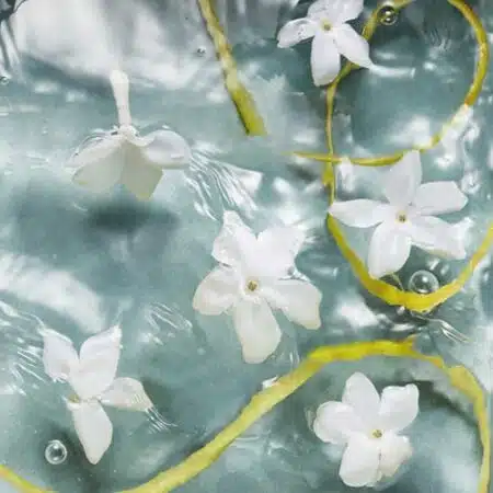 عطر خنک