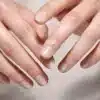 بالم لب کره کاکائو
