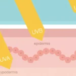 UVA و UVB چه تفاوتی دارند؟