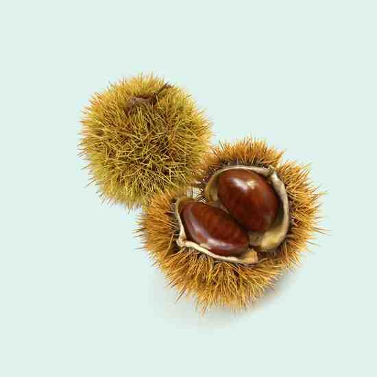 فندوق